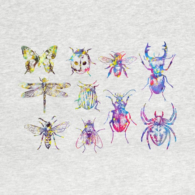 Insect Collection by erzebeth